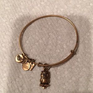Alex and Ani gold owl bracelet